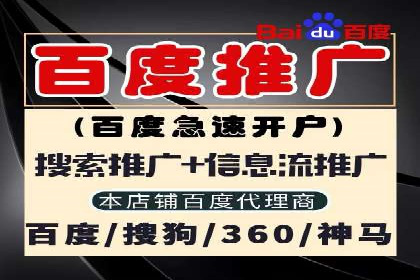 SEM推广优化实战：案例分析与启示